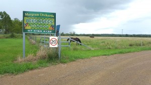farm12